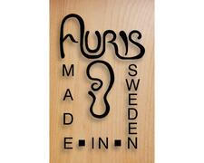 Širokopásová bruska Buldog 5 RC pro švédskou společnost Auris AB