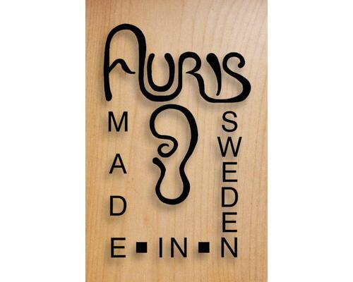 Širokopásová bruska Buldog 5 RC